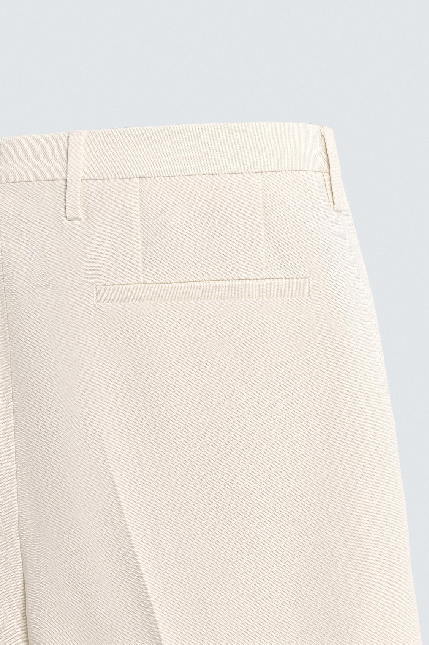 REGULAR FIT PLEATED PANTS