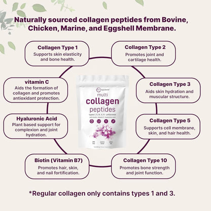 Micro Ingredients Multi Collagen Protein Powder, 1lb | Type I,II,III,V,X with Biotin, Hyaluronic Acid, Vitamin C - Unflavored Collagen Peptides
