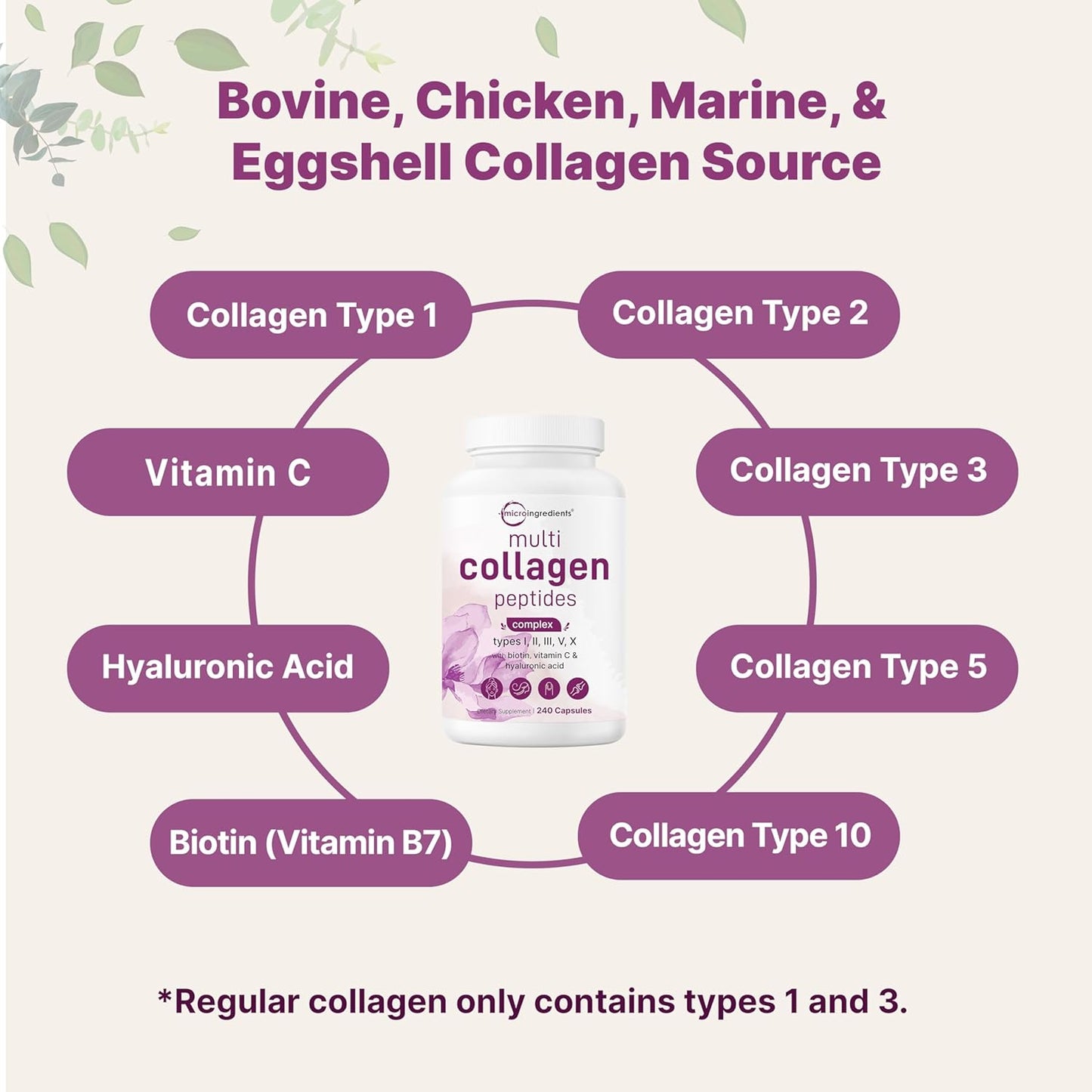 Micro Ingredients Multi Collagen Pills for Women & Men, 240 Capsules | Type I, II, III, V, X | Hydrolyzed Peptides with Biotin, Hyaluronic Acid, & Fat Soluble Vitamin C Complex | Non-GMO, Filler Free