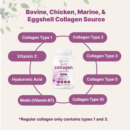 Micro Ingredients Multi Collagen Pills for Women & Men, 240 Capsules | Type I, II, III, V, X | Hydrolyzed Peptides with Biotin, Hyaluronic Acid, & Fat Soluble Vitamin C Complex | Non-GMO, Filler Free