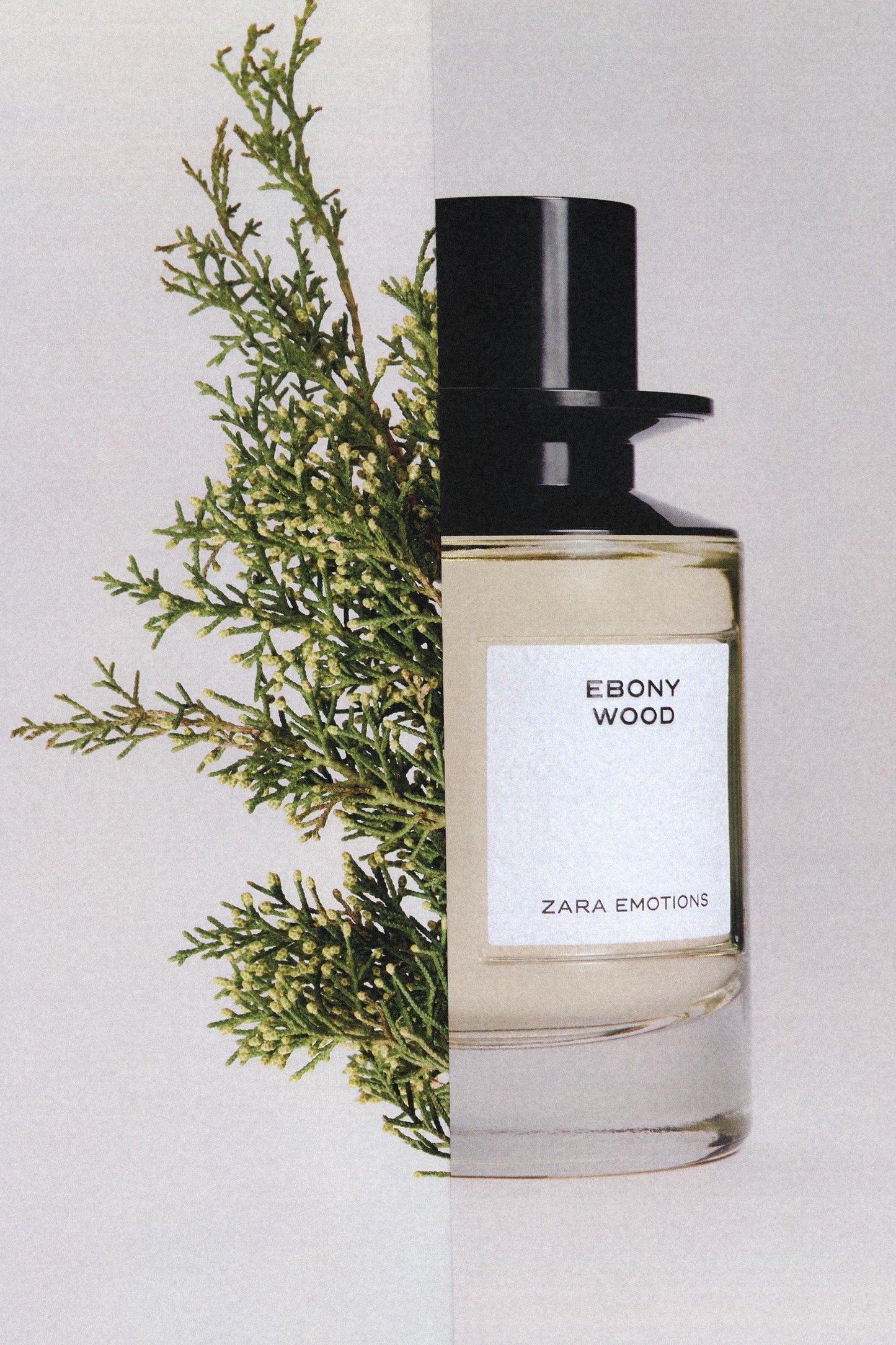 EBONY WOOD EDP 100ML (3.4 FL.OZ)